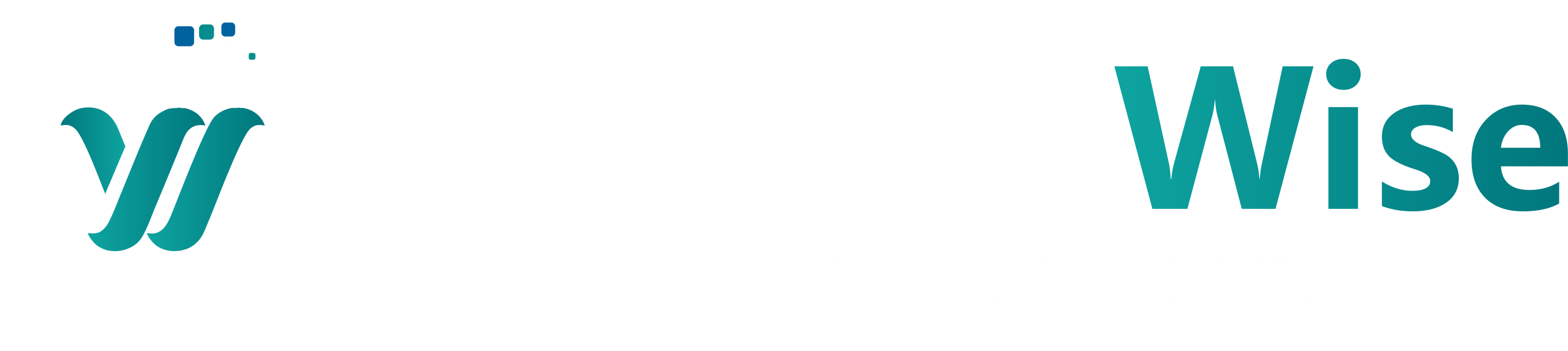Online Wise 